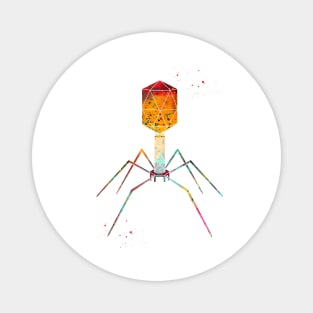 Bacteriophage Magnet